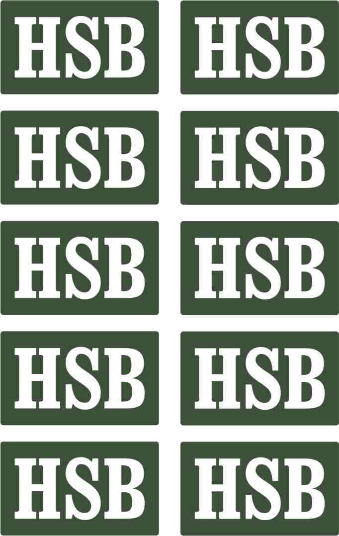 10teil. AUFKLEBER Set grün HSB Harzer Schmalspurbahn Piko LGB Spur G Sticker 001
