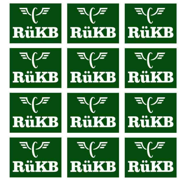 12teil. AUFKLEBER Set grün - RüKB Rügen Roland Piko LGB Spur G DECAL 026
